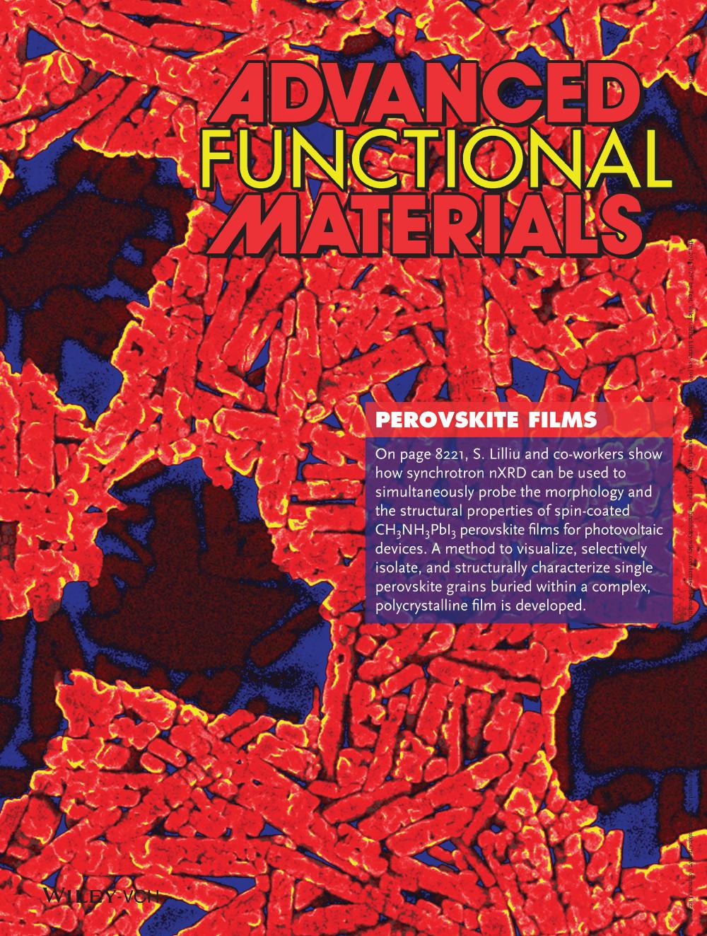 Frontispiece for Advanced Functional Materials vol 26 issue 45