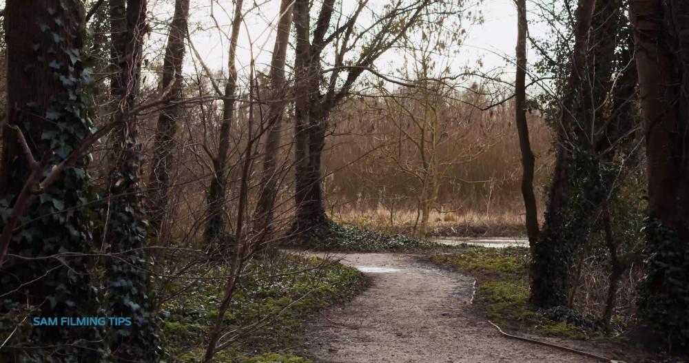 5 - Trumpington Meadows Forest