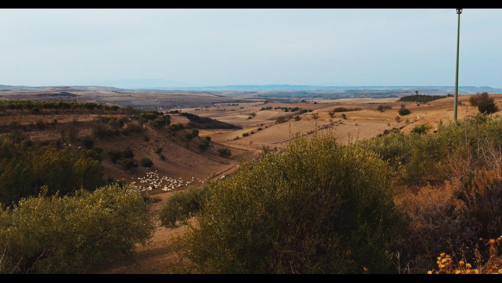 5 - fields, countryside sardinia